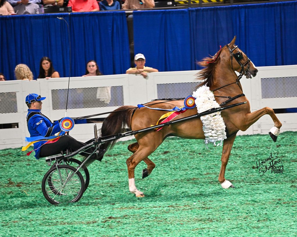 2024 WORLD'S CHAMPIONS